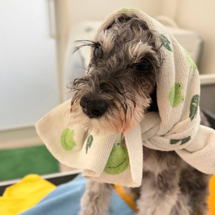 35e8f2fd 3230 4b4e 951e c0a400d613f2 1769063516520