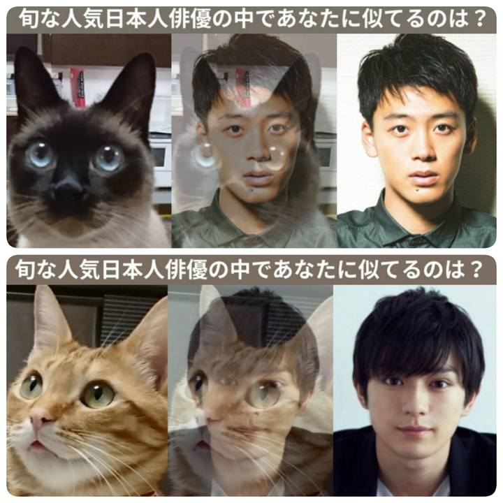 35e8fe6b c751 4280 8699 16f034852788 1528465300266