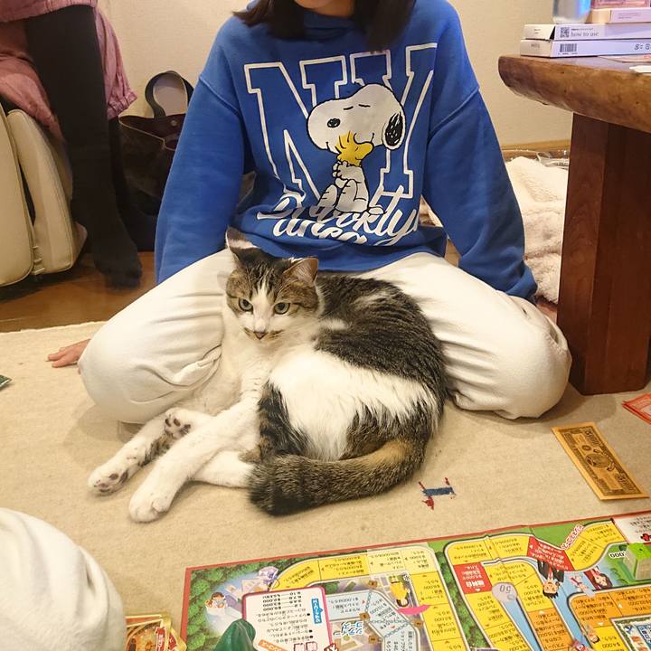 35e9027d 0b48 4ad6 b472 112e418d30a4 1711935333403