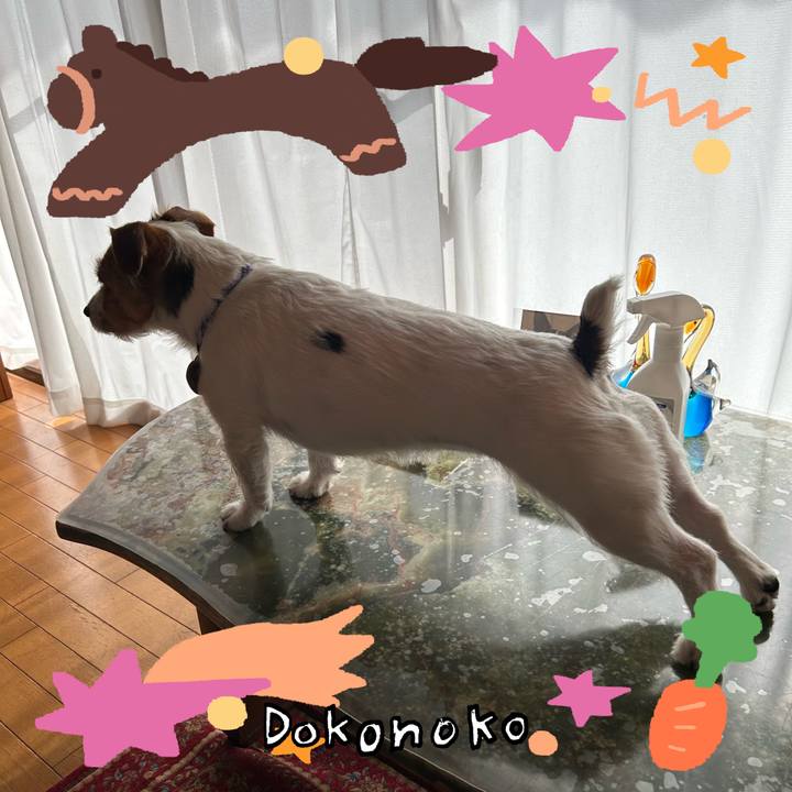 35e90c7f 34e6 487e b020 a1aa577056a8 1771836076738