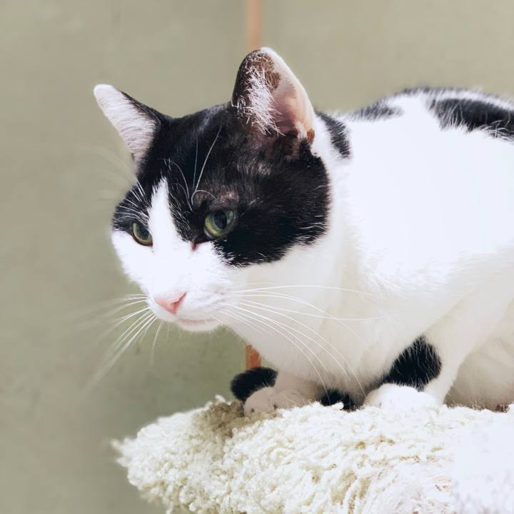 35e98429 717d 41ec ba70 b92a626951cd 1556069639812