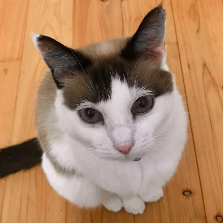 35e9dbc3 0f93 47b5 81ee 94557f5f225a 1538304194466