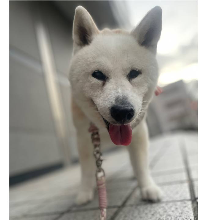 35ea0a09 2f3f 45bd a1b3 ec2be119f8bf 1757337077587