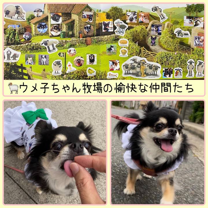 35ea0b0f 1cac 4d7e b57f 510f98d3125b 1661398362404