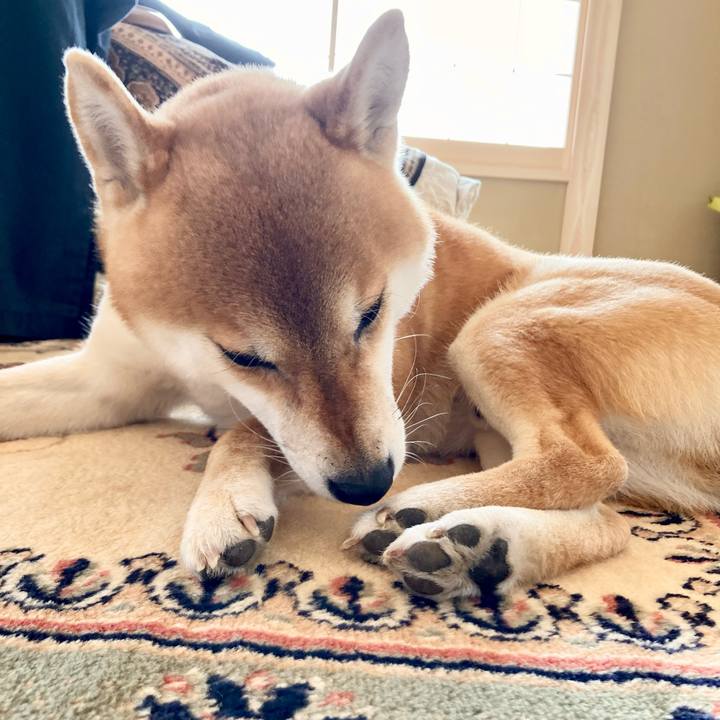 35ea1d9b 027b 4723 9924 453400b934fb 1675995889711