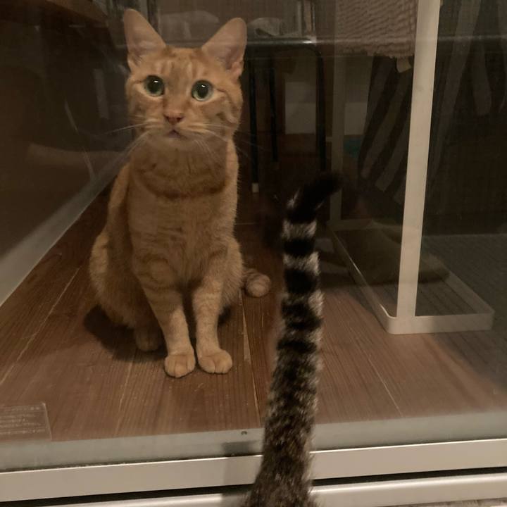 35eac692 696d 4991 af49 86caa296d47d 1660563118616