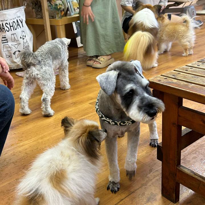 35eae52d 007f 490b 93de ee7ad0b279e7 1756436752368