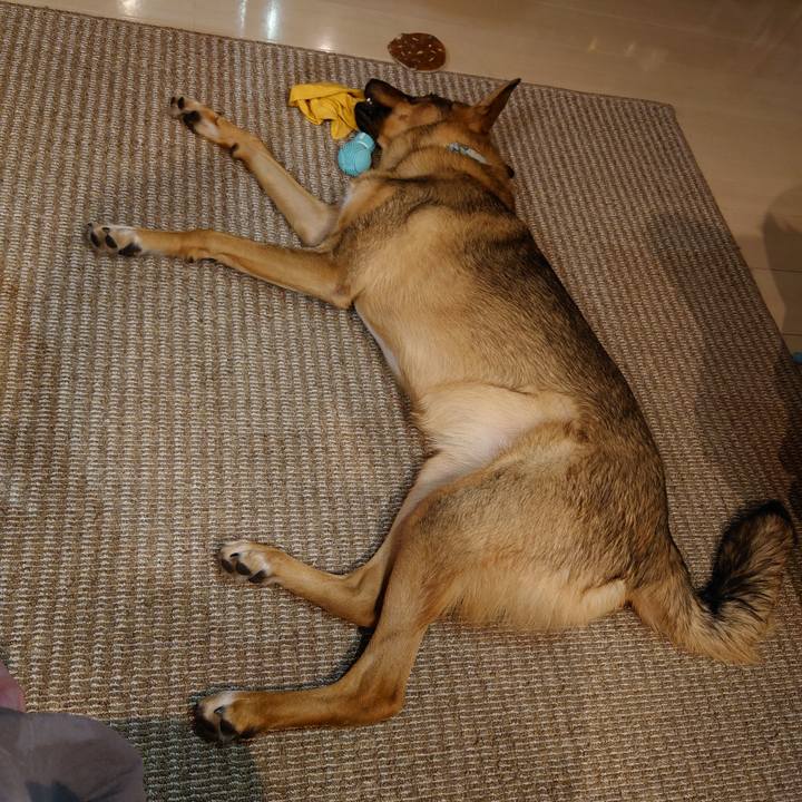 35eb815d f943 4f2b bc69 ea343ed8e7e5 1699194899827