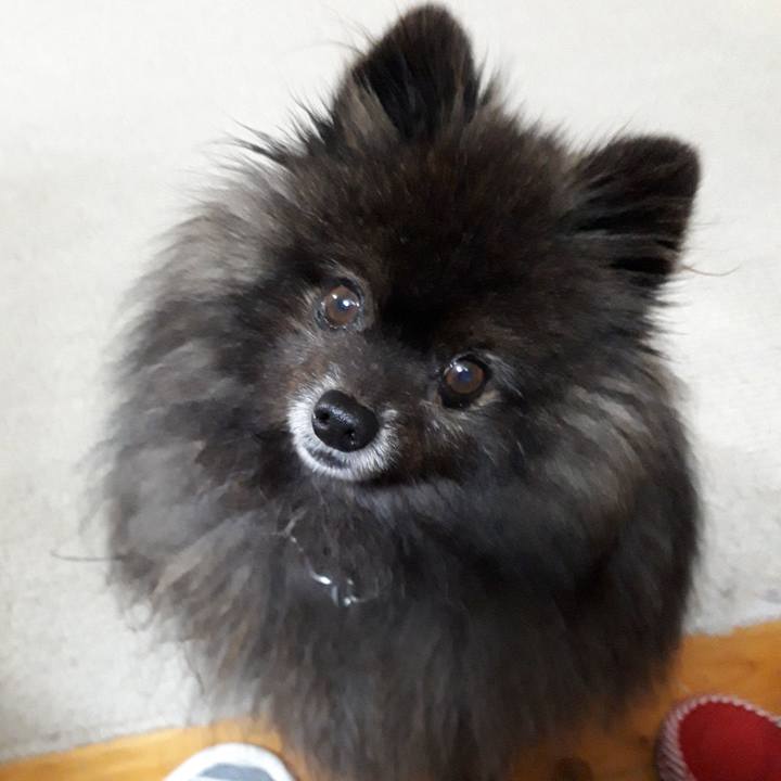 35eba3f7 5b51 4dca baa4 d108a1cbc3bc 1519674068251