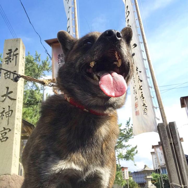 35ebaae7 b4cc 4d61 9f96 3c9af665c463 1539668094286