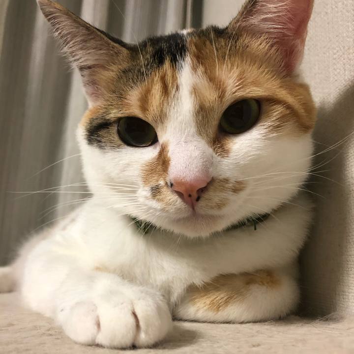 35ebbc17 cbfc 488d b4d4 75d7a1599700 1595688466169