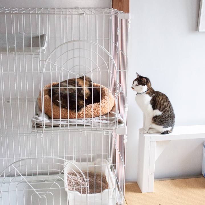 35ebcb0e 4666 4708 9cd3 e76740a18640 1572915206627