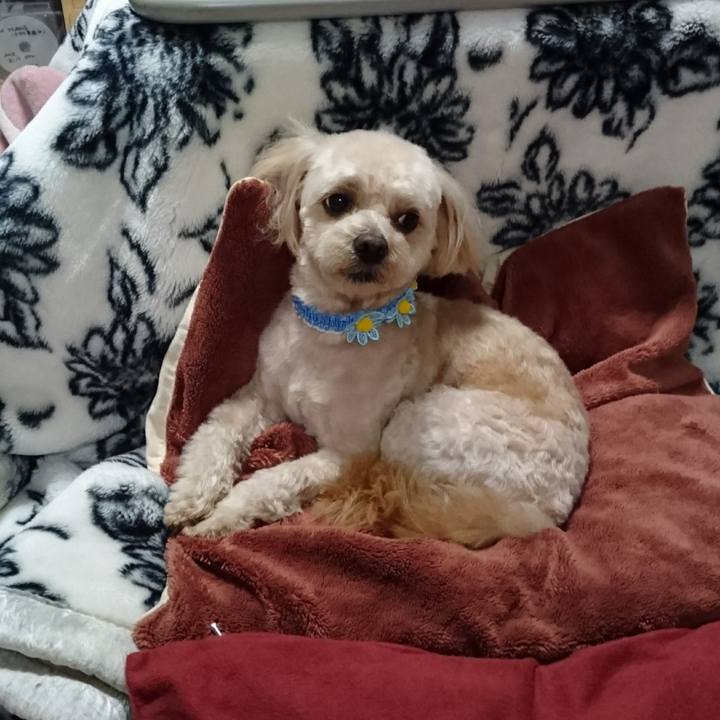 35ebcf95 8858 4392 828e 677494aeb17f 1551606302466