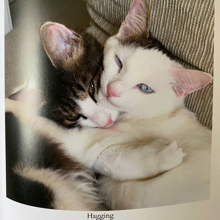 35ebe938 f808 46e1 be28 e5df006c9965 1664748572995