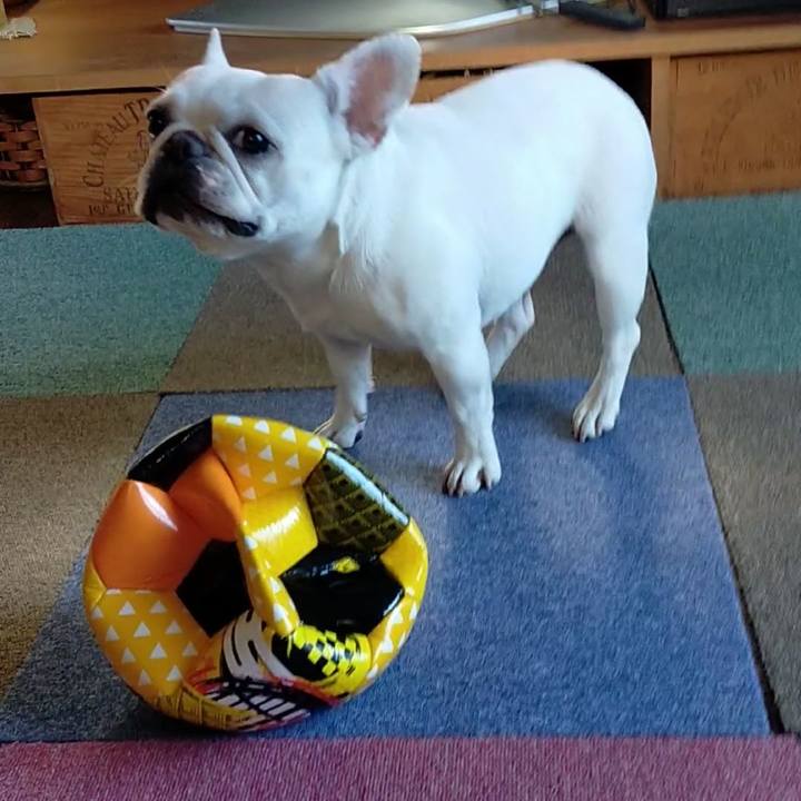 35ec0f1f e8c1 4e39 b24d 16eff134d6e1 1656584638395