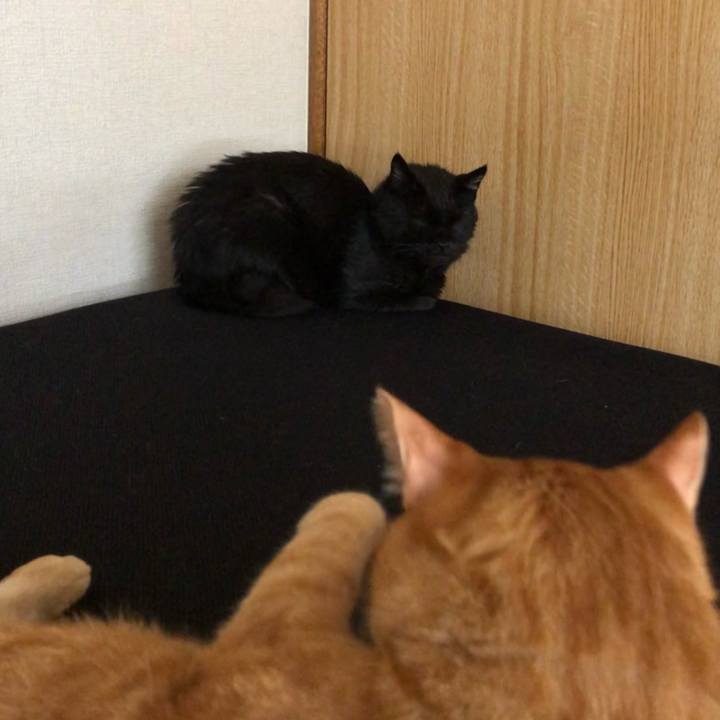 35ec73cf 2b80 4a3c 9f3f 9039eb84d589 1627373579534