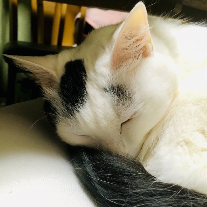 35ece76c b99c 408f a37b 0df7a72bc21c 1556229126988