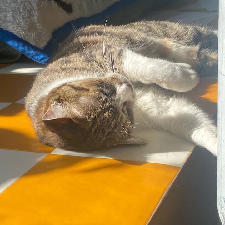 35ecf850 96da 40af 85ee e9251602c73d 1698973272226