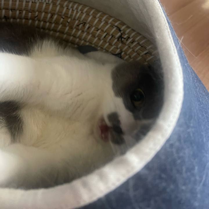 35ecfc49 32fc 495c 8763 bbbd21723c66 1726121689481