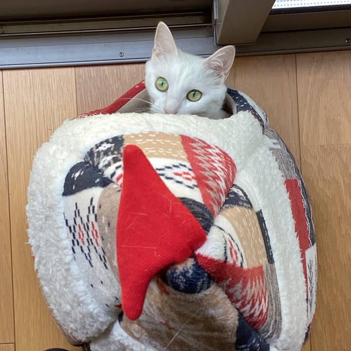 35ecfec7 ff88 41ac 8439 faf797bdc8a2 1690424370840