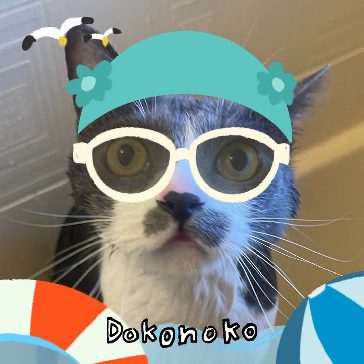 35ed0f28 f9d8 4e4e afa5 24d8739bdf8f 1723200767367