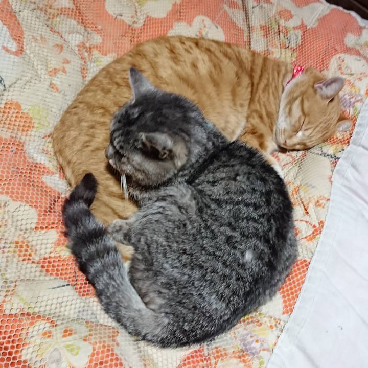 35ed8e51 5806 45e0 9bc7 6fcbb66d265e 1577535664960