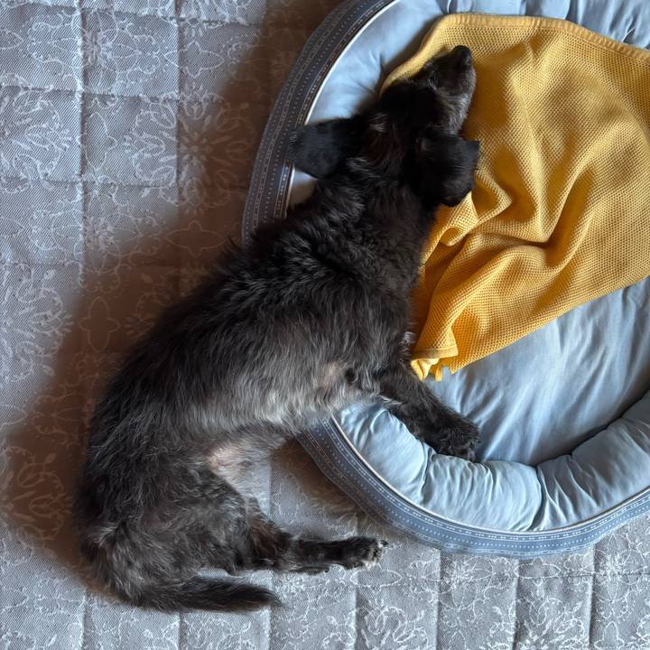 35ed8efa 6411 4c4b 9550 ec0b543cc215 1757373093182