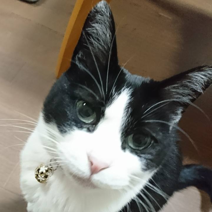 35edf1a0 d7b0 47ec a7a9 6e6467289e23 1581426073038