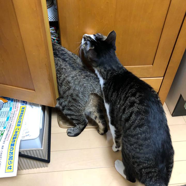 35edfc11 697a 4ddf be6d 39eeed2db717 1516305413243