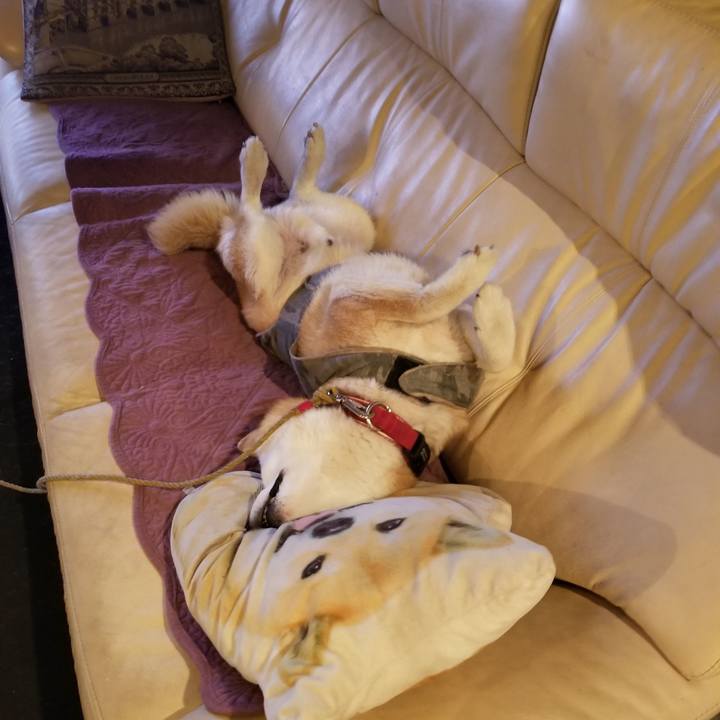 35ee5969 77e7 4e47 8bf8 000f89aef1e5 1732099361719