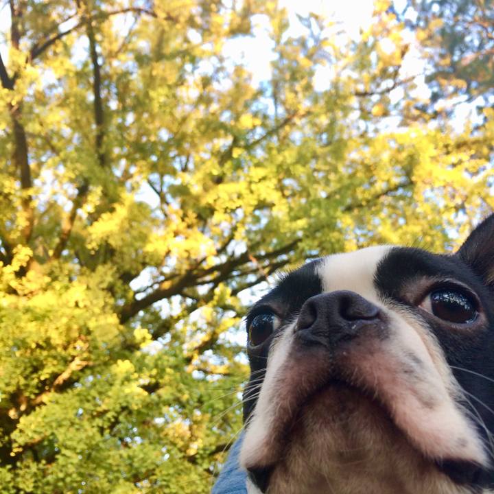 35ee5cf5 4357 4b89 aae7 09e0319fc55d 1510562880313