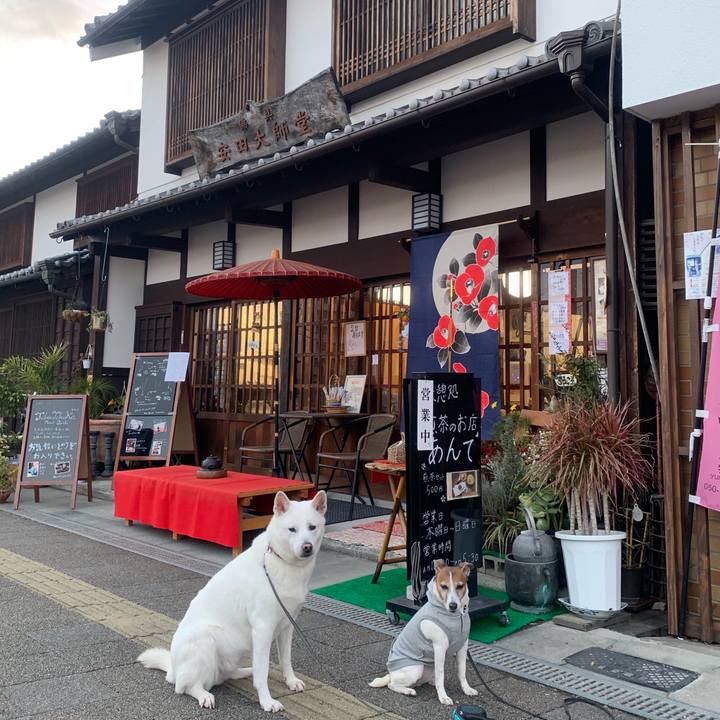 35ee5f48 4676 4708 b8e4 611edc6a36d0 1546767786833