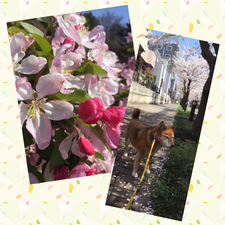 35ee7edc 350e 4baf a778 d1bfb72281ff 1554173041554