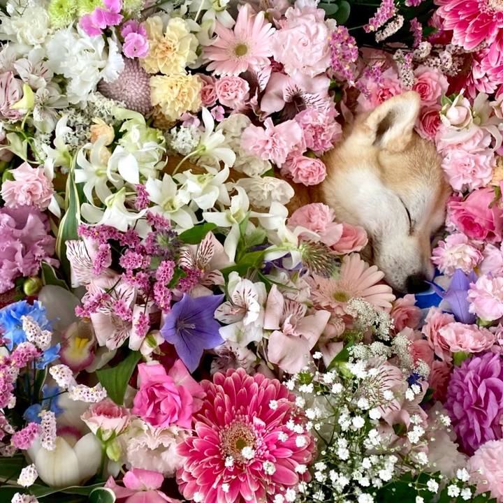 35ee895d 063a 4fee 8b15 00f110472eea 1751886874385