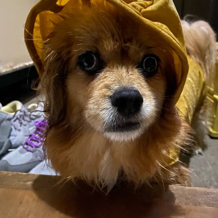 35ef0e9a 0c9b 45e6 b5e9 f64a4a1c939b 1615586436228