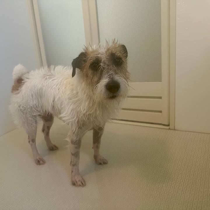 35ef391f 13e7 49aa 886e 79ed81a3e03a 1745959871389