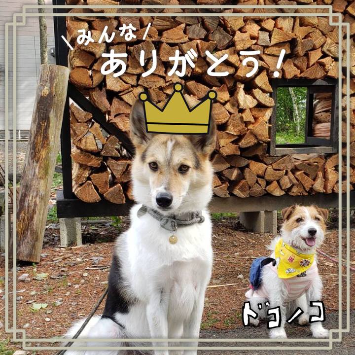 35ef3a5e 924c 4274 8864 9067ac3698f9 1622885883520