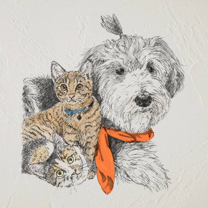 35ef6af9 be1b 47bd bfa0 8b6deab3fc5f 1566484705898