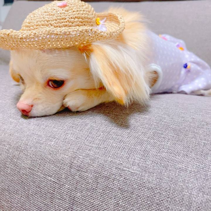 35efb0d9 1829 4c7a ae83 8f257e14d867 1623308962493