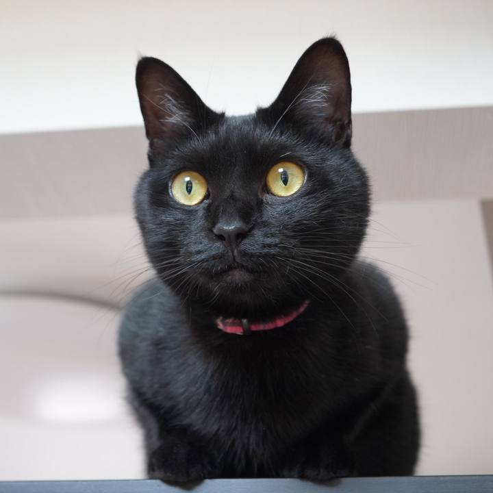 35effd31 9056 4764 a6dd ae22aeff1a39 1592487367405