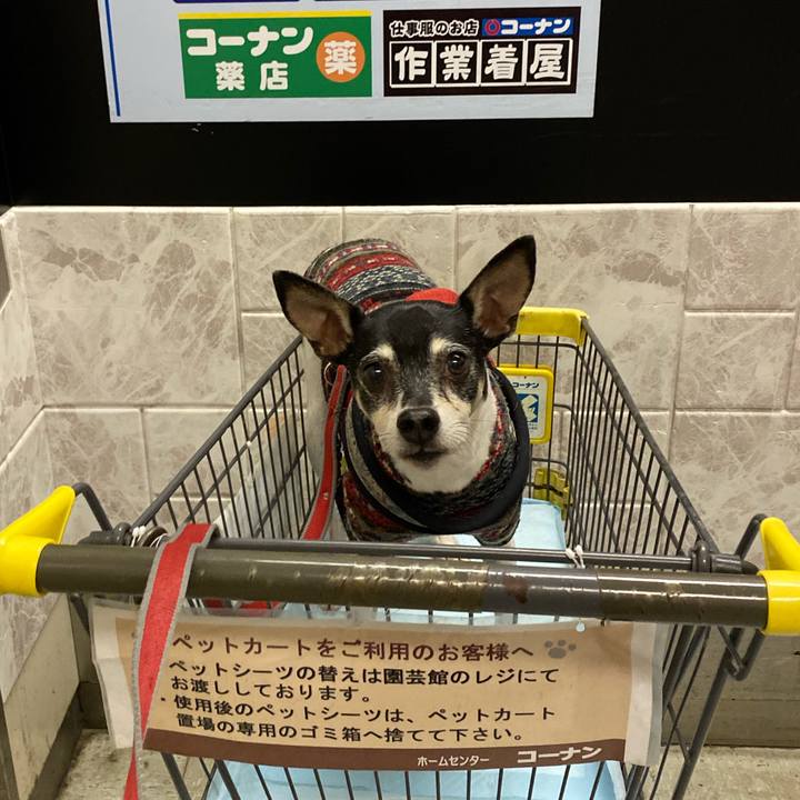 35f0602c a0cc 4a30 93ee 1128729b0a12 1576979371259