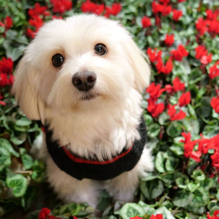 35f078a3 6d9c 4352 889f ec496fd79ebd 1766698457639