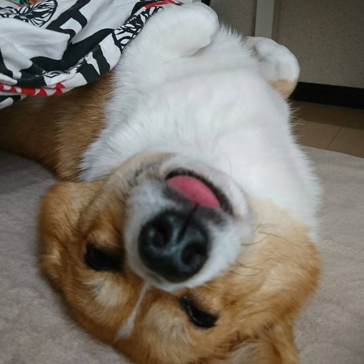 35f07bcd 7df9 4f8f b294 88bb0558d942 1522626301187