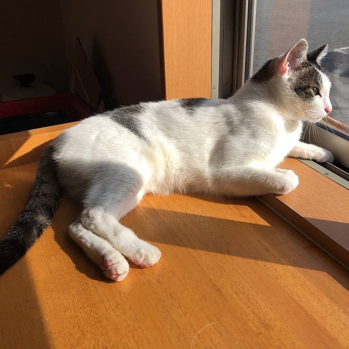 35f082d5 1d9c 410b 9227 a4dd54e598af 1650582481220