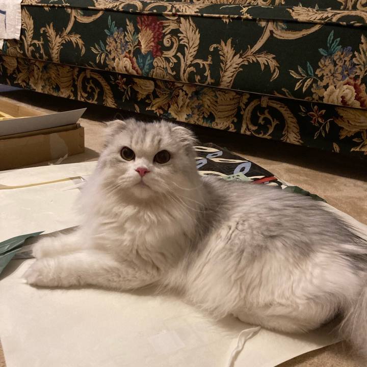 35f0a22f ed9c 4e04 88a0 d30d003cc02c 1625469288539