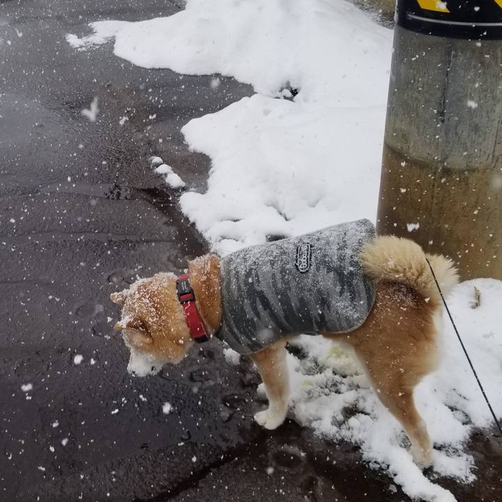 35f0b4c5 903a 4034 bf17 14d76f3b4872 1740194183141