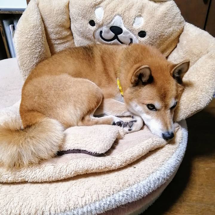 35f0b7d1 5e6d 4587 88b0 20cbdbfcc7cf 1636446421576