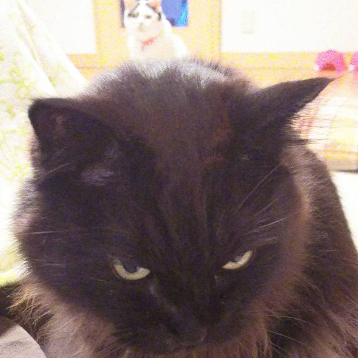 35f0cf87 30ff 4500 af84 9d4653e919d0 1517904723651