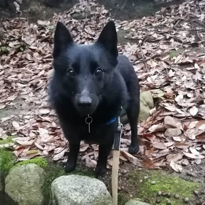 35f0d3e0 1e2b 4c37 9968 c9254738692b 1621458769052