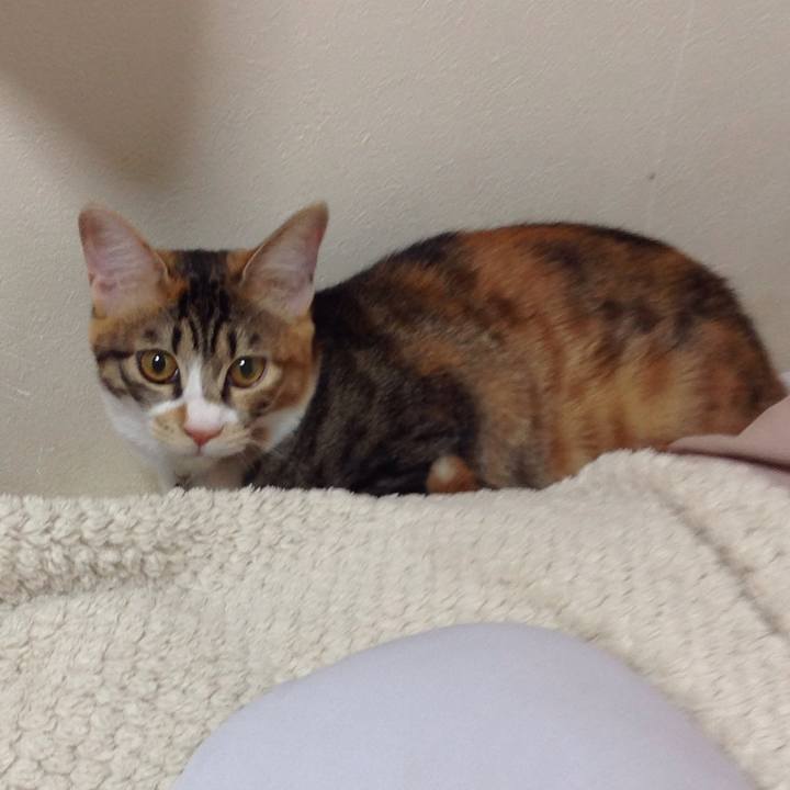 35f12763 9ccf 4891 b97b da0c92c15bcb 1639438468129